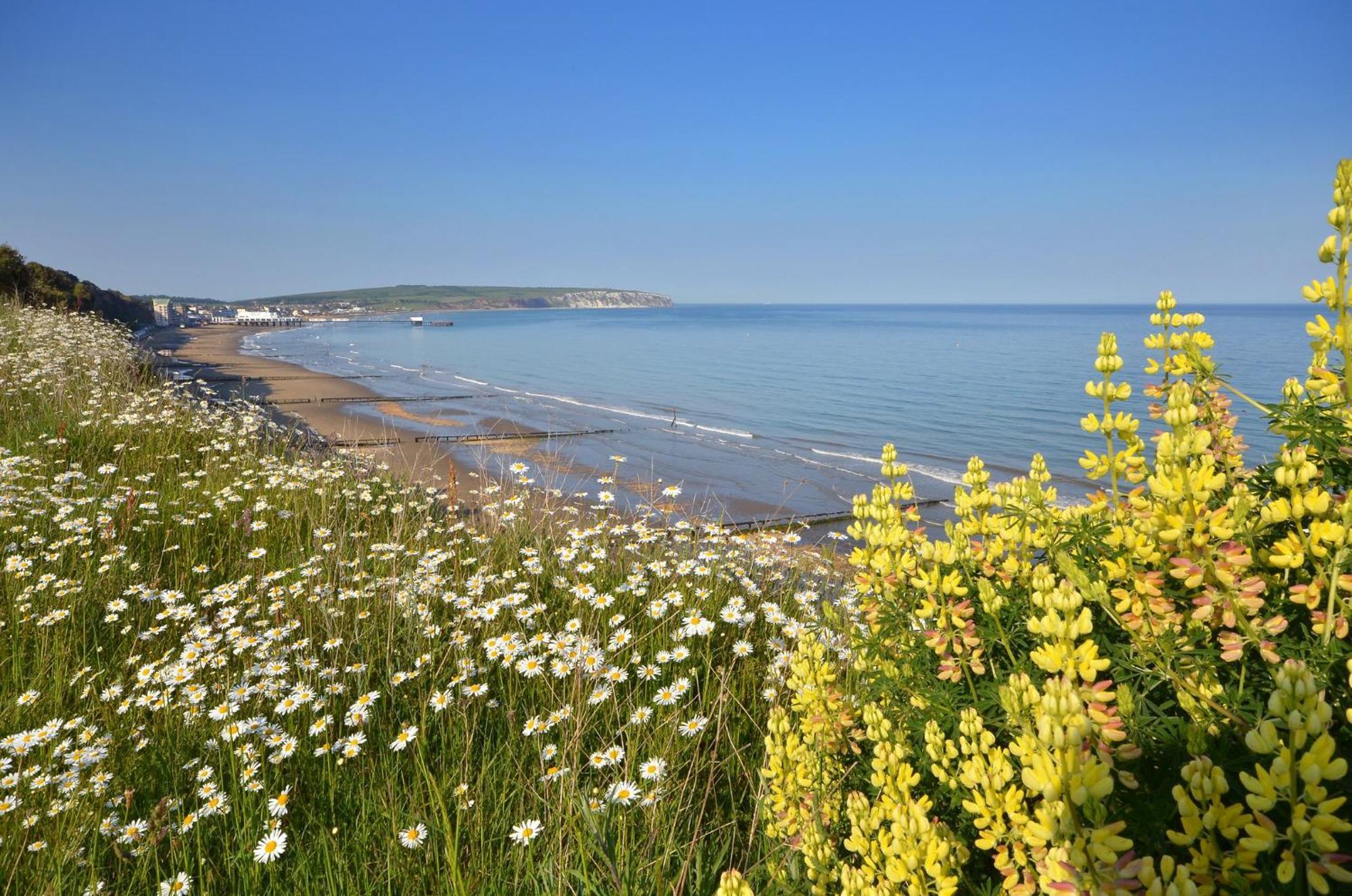 The Haven - Isle Of Wight Villa Сандаун Екстериор снимка